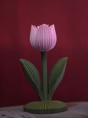Decorative tulip new with ribbed texture