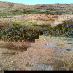 Τήνος - Κτήμα 7,276 στρεμμάτων με παλιό στάβλο