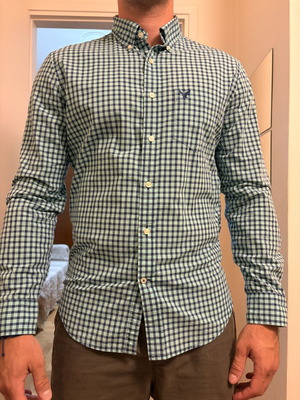 American Eagle shirt, regular fit, blue and green