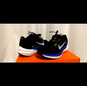 Nike Air winflo 10 (running shoe)