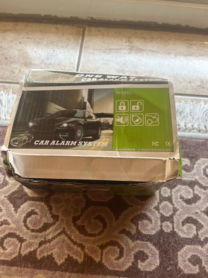 Car alarm system unused