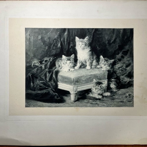 Lithography used with cats by Louis-Eugène Lambert