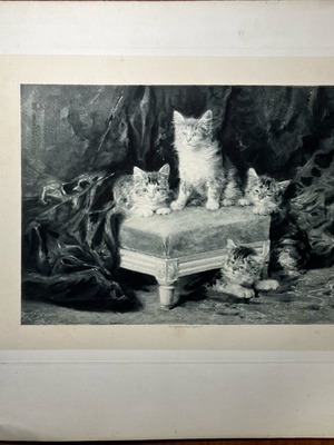Lithography used with cats by Louis-Eugène Lambert