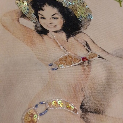 Vintage canvas shoulder bag with bamboo handle and pin-up sequin design