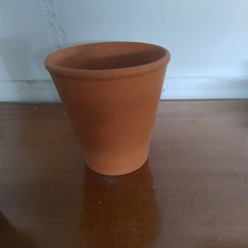 Small ceramic flowerpot used