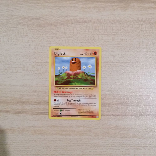 Pokémon Diglett Evolutions 2016 card new