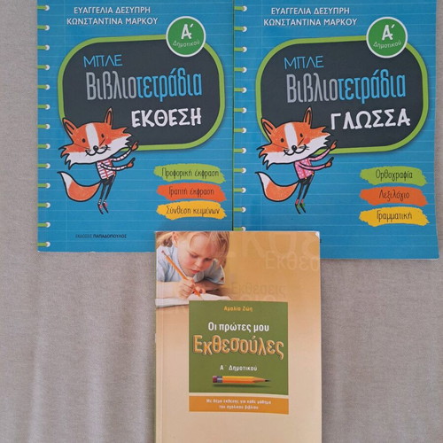 First Grade Textbooks used, good condition, set of 3