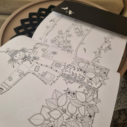Secret Garden Coloring Book like new