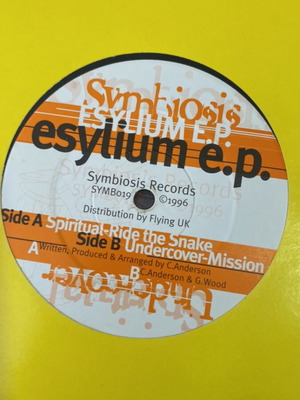 Goa trance record used, very good condition