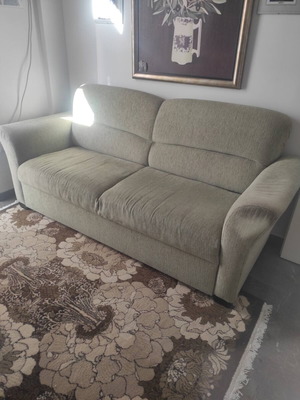 Two-seater sofa used light green