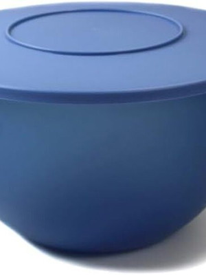 Tupperware Expression Bowl 4.3L with Lid, new
