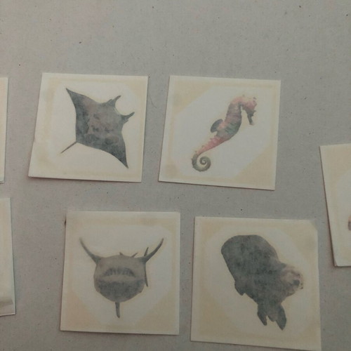 Temporary tattoos with sea animals, like new, set of 9