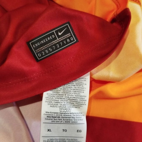 Nike Dry Fit Galatasaray T-Shirt Season 2021-2022 Like New