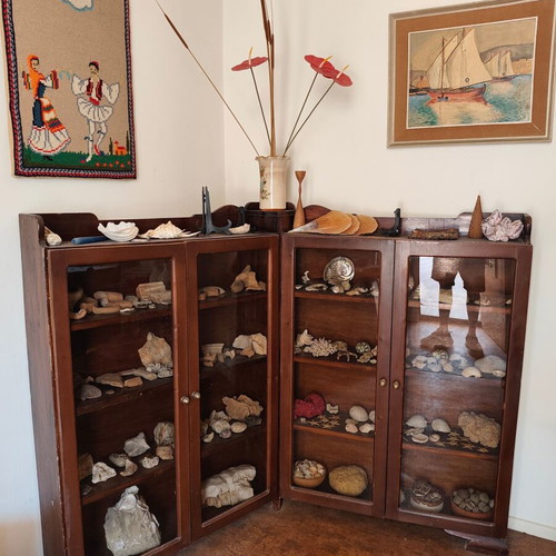 Showcase with seashells