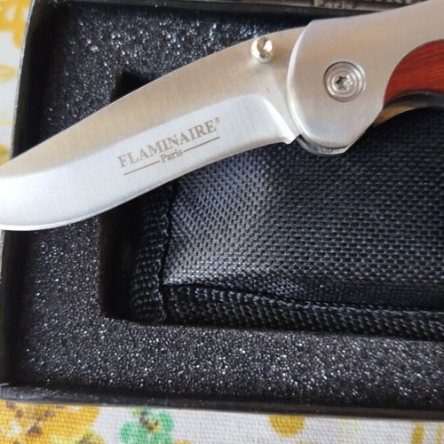 Folding Knife new, flawless