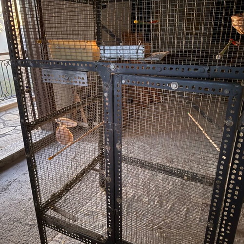 Large bird cage like new