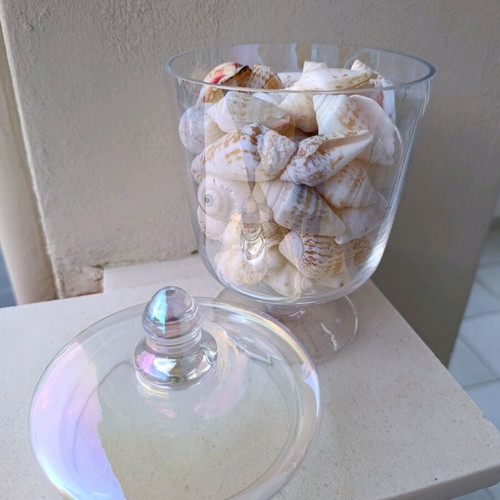 Decorative vase like new with real seashells, glass