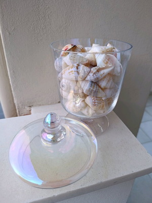 Decorative vase like new with real seashells, glass