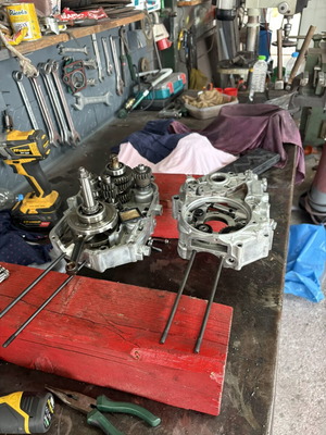 Lifan 110 engine parts like new
