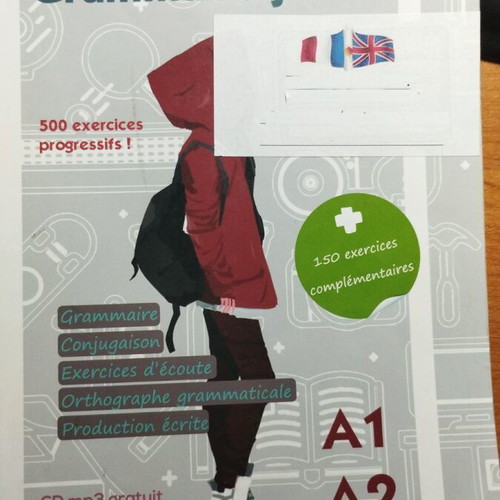 Grammaire junior A1 A2 used French grammar book