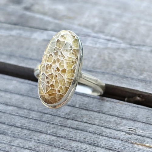 Silver ring with fossilized dinosaur bone new