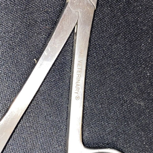 Home Veterinary Surgical Forceps stainless steel like new
