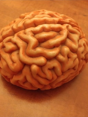 Brain-shaped money box like new