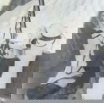  Φωτογραφία   Σουλιώτη σε κάδρο εποχής  με καριοφίλι αρχές 20ου αιώνα Ιωάννινα διαστάσεις 72x82cm