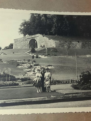 Bosketto Garden Corfu vintage black and white photo like new