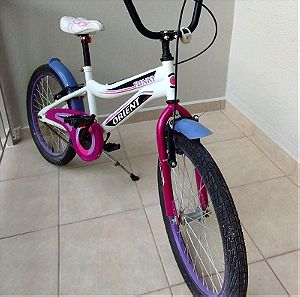 Ποδήλατο παιδικό με κοριτσίστικα χρώματα