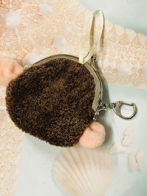 Children's keychain wallet used