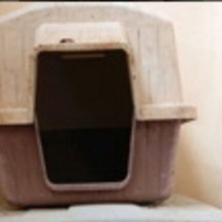 Dog house for small dogs like new