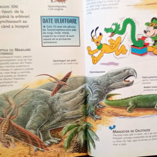 Disney Encyclopedia Dinozaurii used, Romanian language, 2008 edition