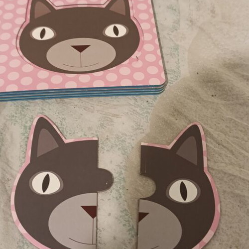 Children's book and puzzle used, Faces with Pets