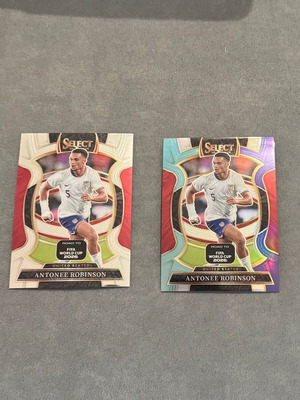 Panini 2025-26 Select Road To FIFA World Cup USA lot of 2 cards