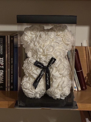 Infinity Rose Teddy Bear like new, white