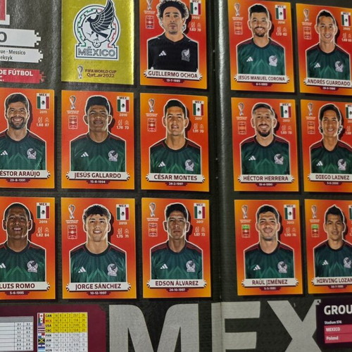 Panini Qatar 2022 sticker album, complete