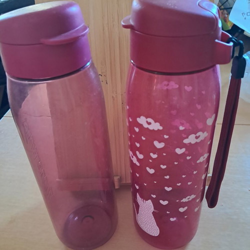 Tupperware water bottles used, pack of 2, 750 ml each