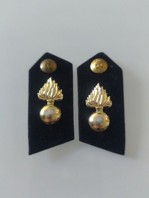 Artillery Officer Insignia 1953-1970 like new