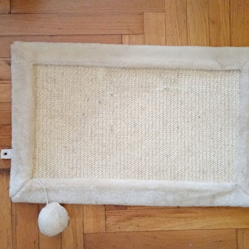 Cat items like new tunnel, scratching mat, and steam comb