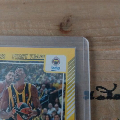 Nigel Hayes-Davis Panini Euroleague card like new