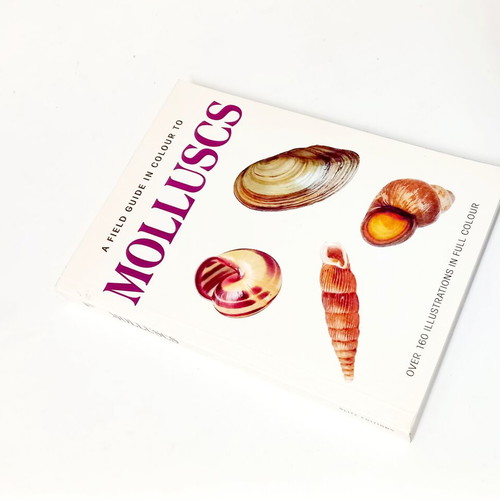A Field Guide in Colour to Molluscs by Václav Pfleger like new