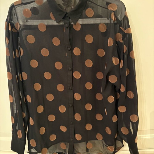 Zara Polka Dot Sheer Shirt Black and Gold XS like new