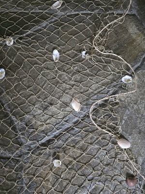 Decorative wall net with shells like new