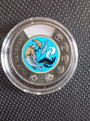Two Canadian Dollars 2024 new