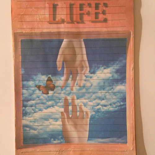 Letter glues new