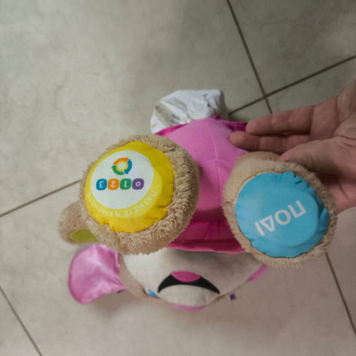 Phisher-Price Educational Plush Dog Used for Toddlers