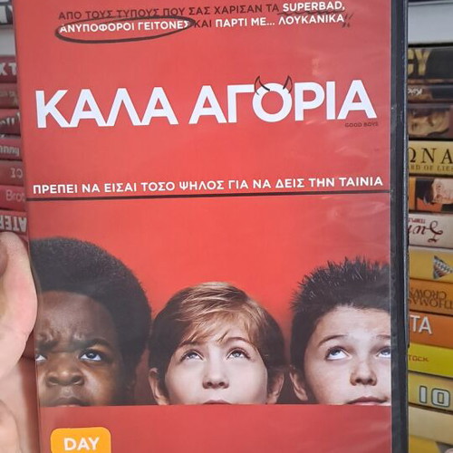 Good Boys DVD used, comedy with subtitles