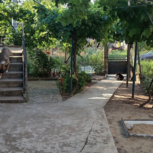 Detached one-story house with large yard and garage in Archar
