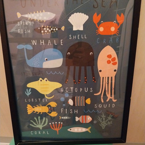 Children's poster with sea creatures and black wooden frame